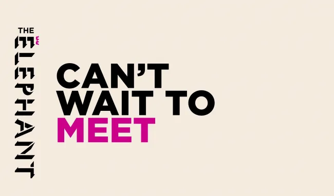 Elephant design work 2