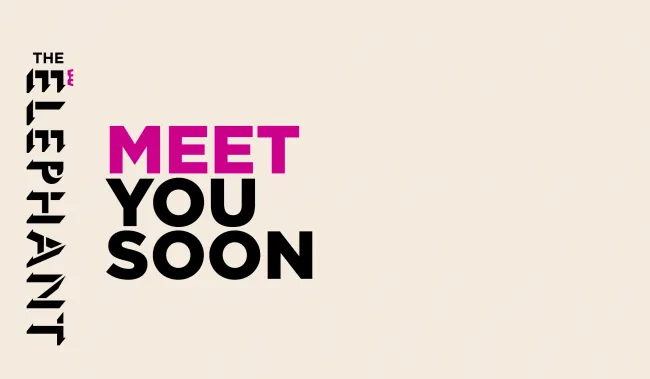 Elephant design work 3