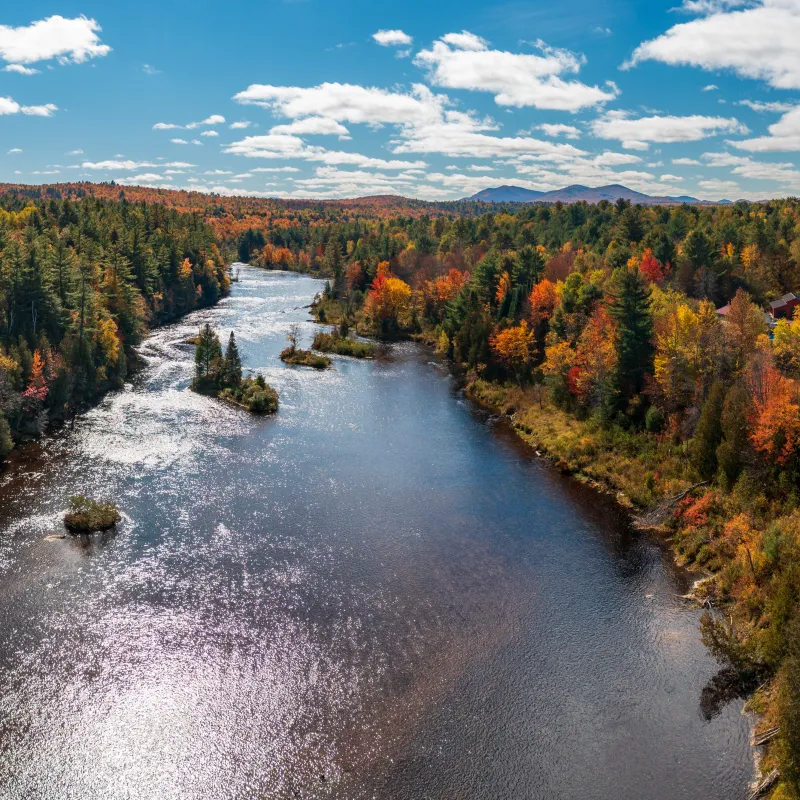 Colorful fall trees around the Saranac river near Redford in the Adirondacks in New York State in the autumn