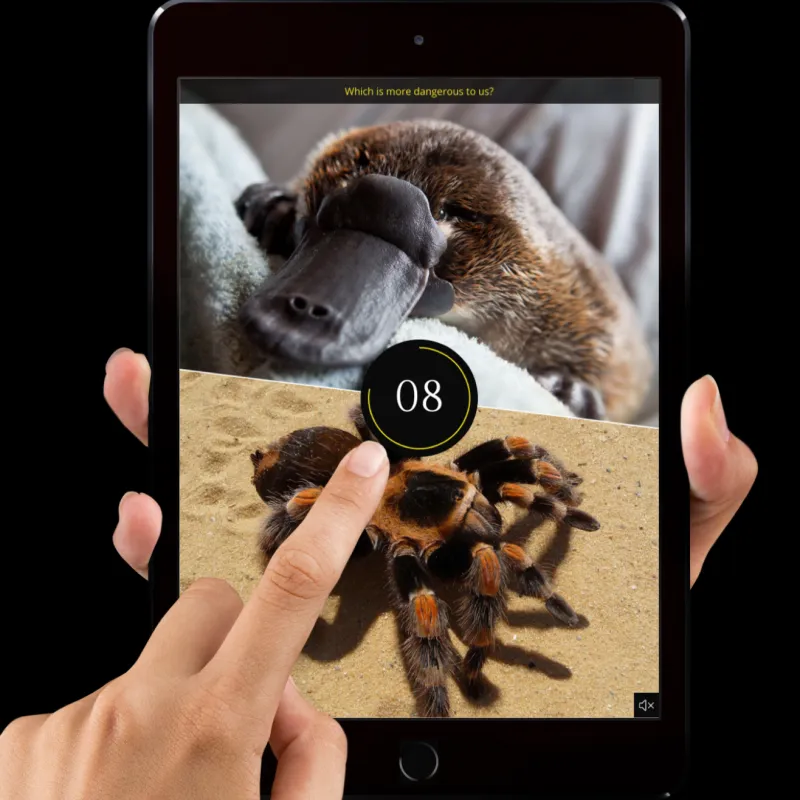 A person choosing between a duck billed platypus and a spider on an iPad